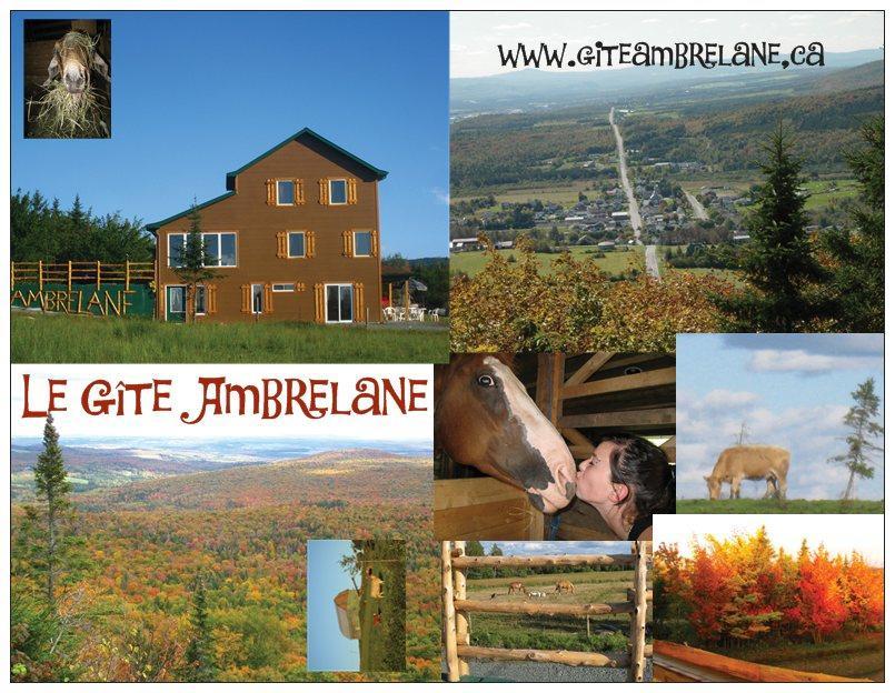 תטפורד מיינס Le Gite Ambrelane מראה חיצוני תמונה